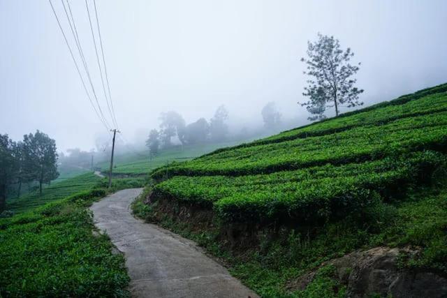 Lime Light Resort Munnar Exterior foto